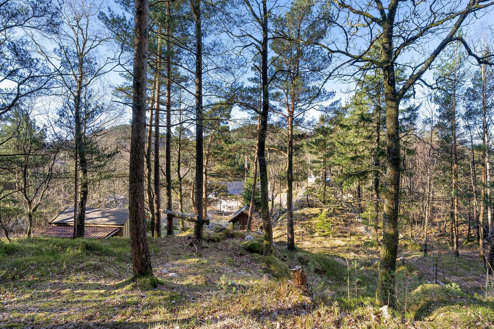 Eiendommen strekker seg oppover i terrenget og gir muligheter for utforsking i trygge omgivelser. Galleribilde