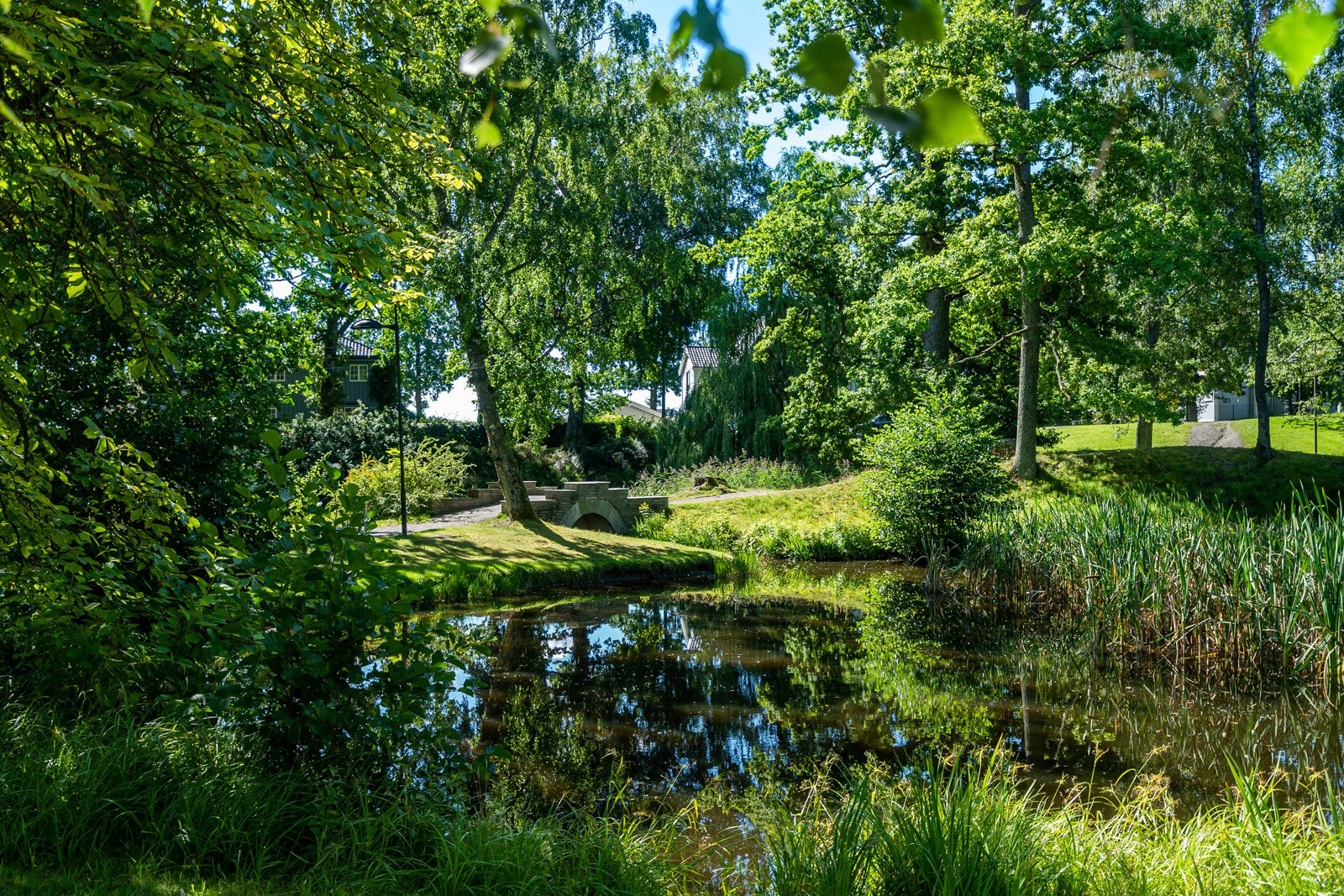 Områdebilde- Rosanes. Galleribilde