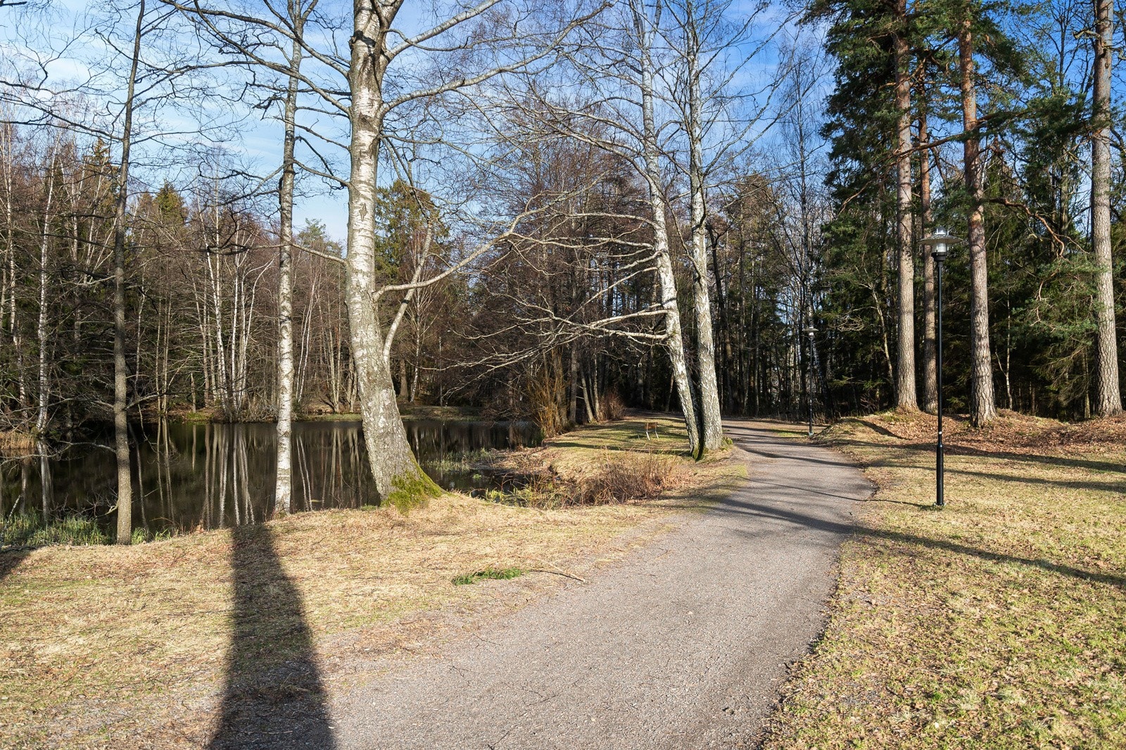 Områdebilde- Teieparken. Galleribilde