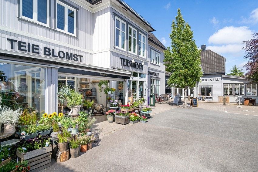 Områdebilde- Teie Torv. Galleribilde