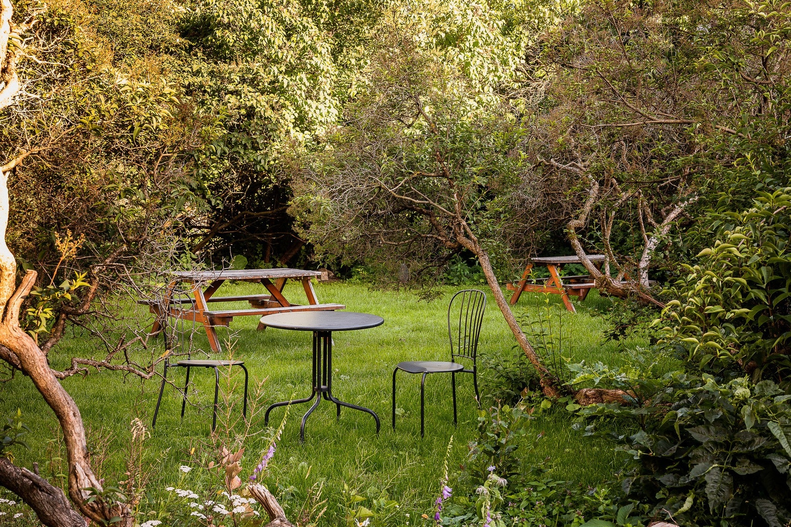 Frodig og grøn beplanting. Galleribilde