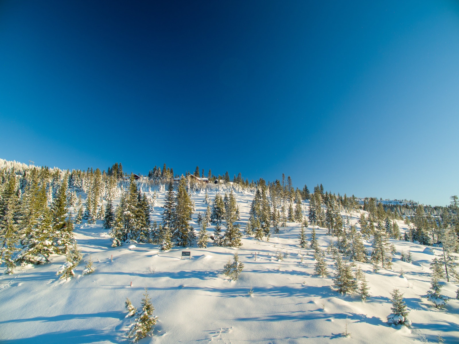 Bildet fra tomtefeltet på Bjørgesætra i Hafjell Galleribilde