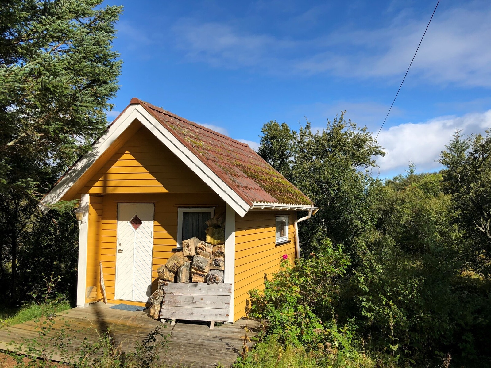 Annekset Galleribilde