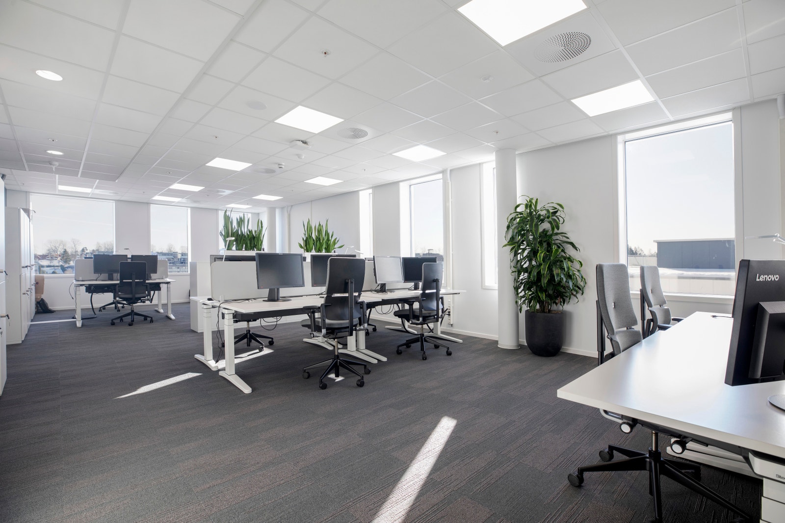 Referansebilder Galleribilde