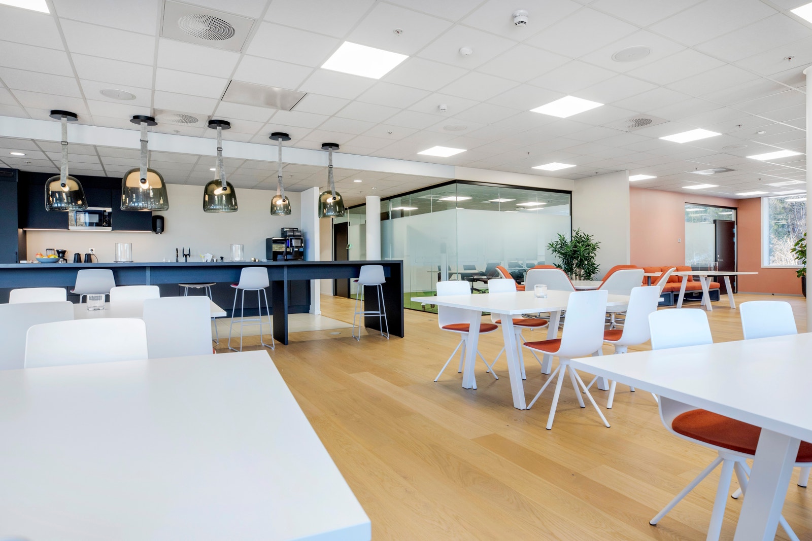 Referansebilder Galleribilde