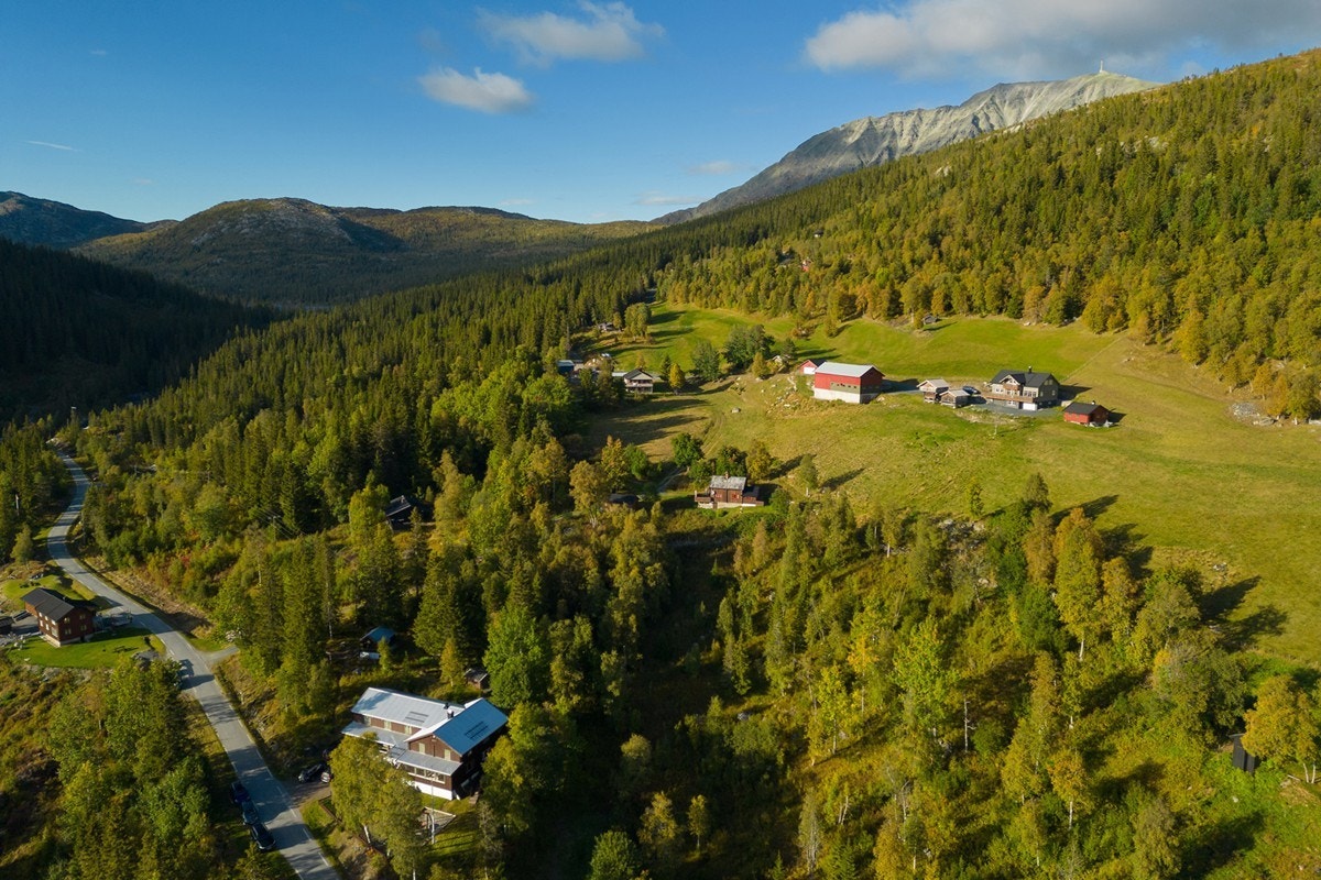 Området byr på flere toppturer, som blant annet Gaustatoppen man her ser øverst til høyre Galleribilde