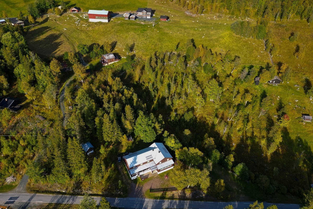 Oversiktsbilde av tomten Galleribilde