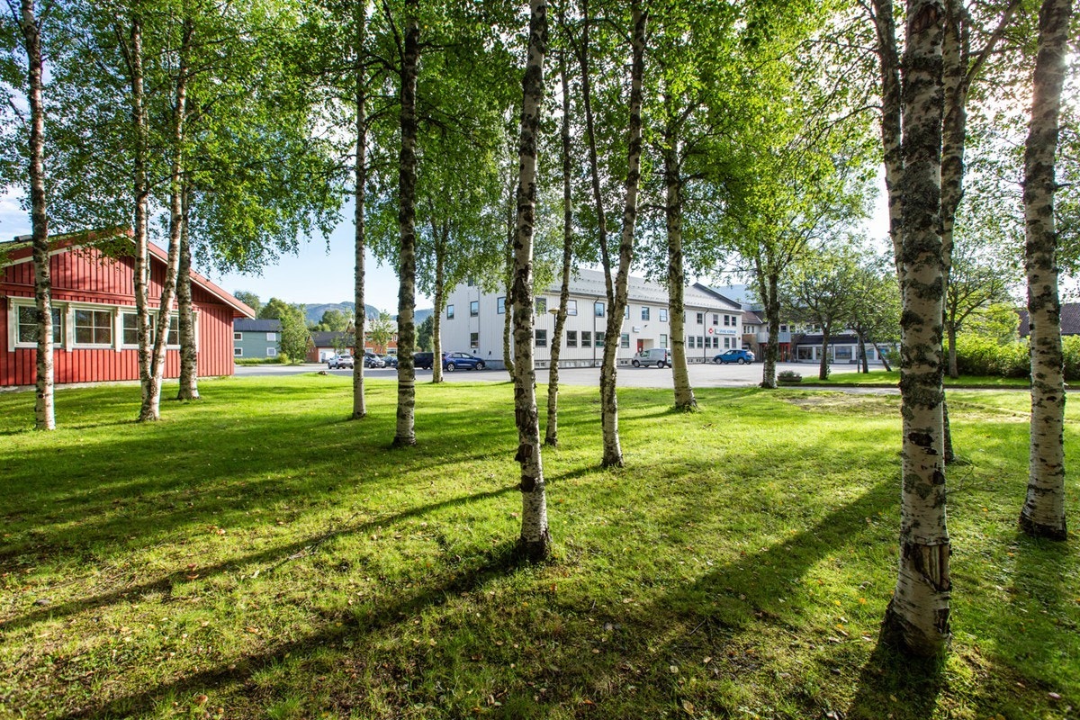 Område Galleribilde