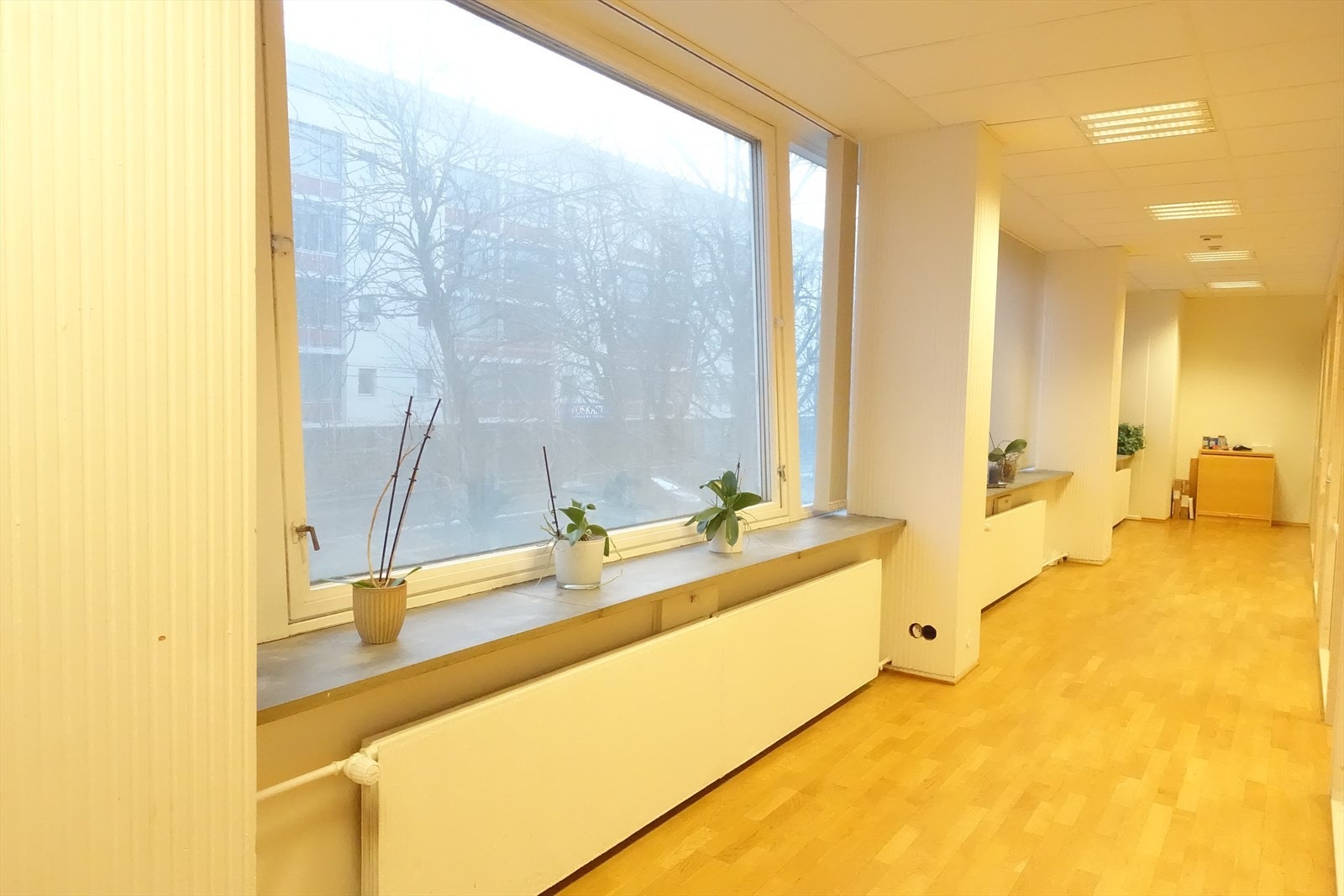 Store vinduer mot Kongens gate Galleribilde
