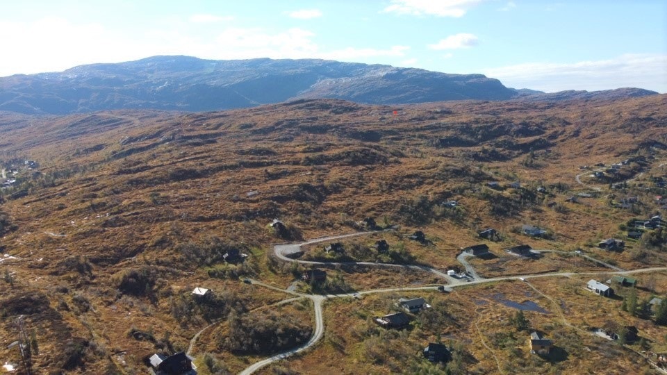 område leite Galleribilde
