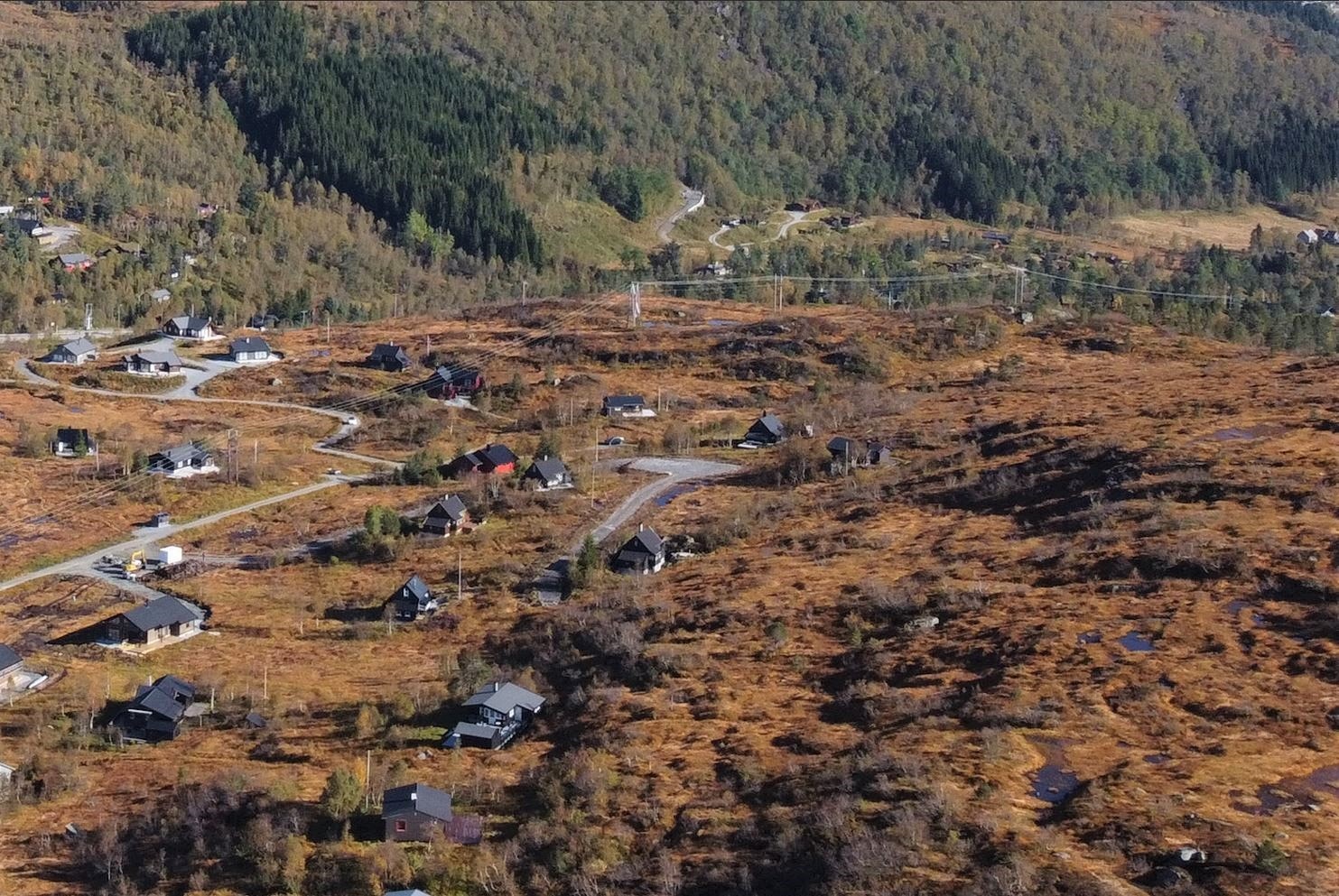 område leite Galleribilde