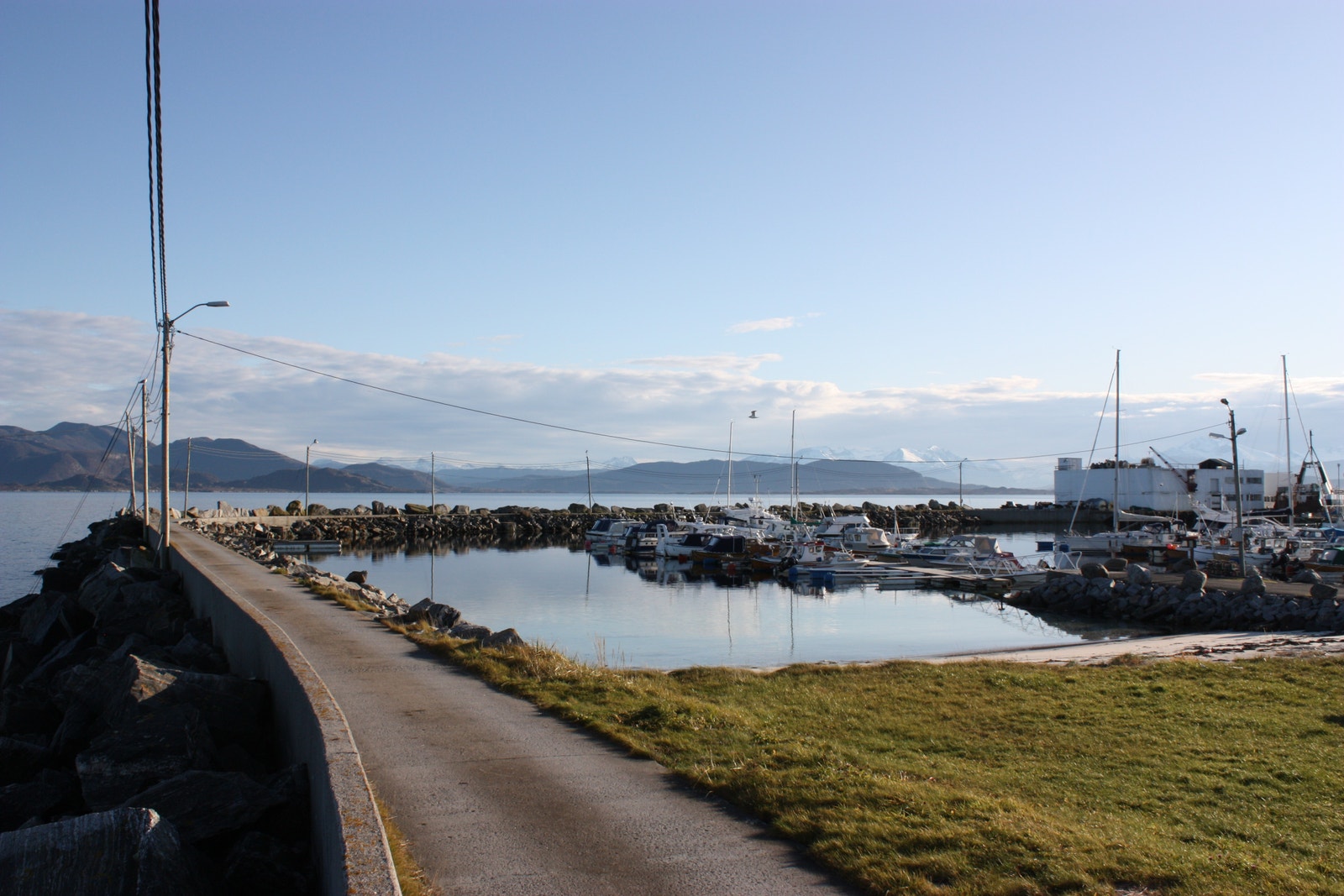 Nærområde Galleribilde