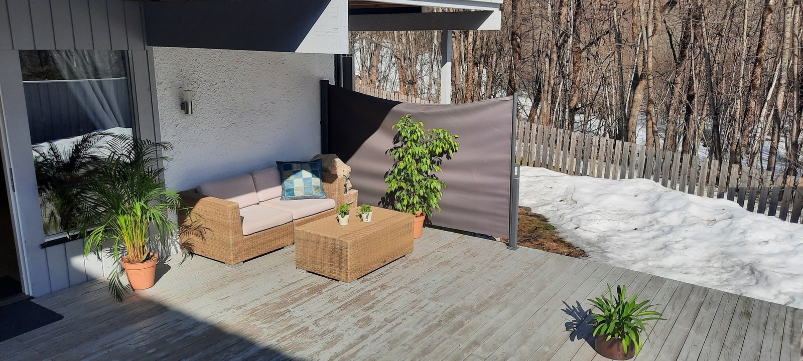 Stor fredelig terrasse med skogen som nærmeste nabo Galleribilde