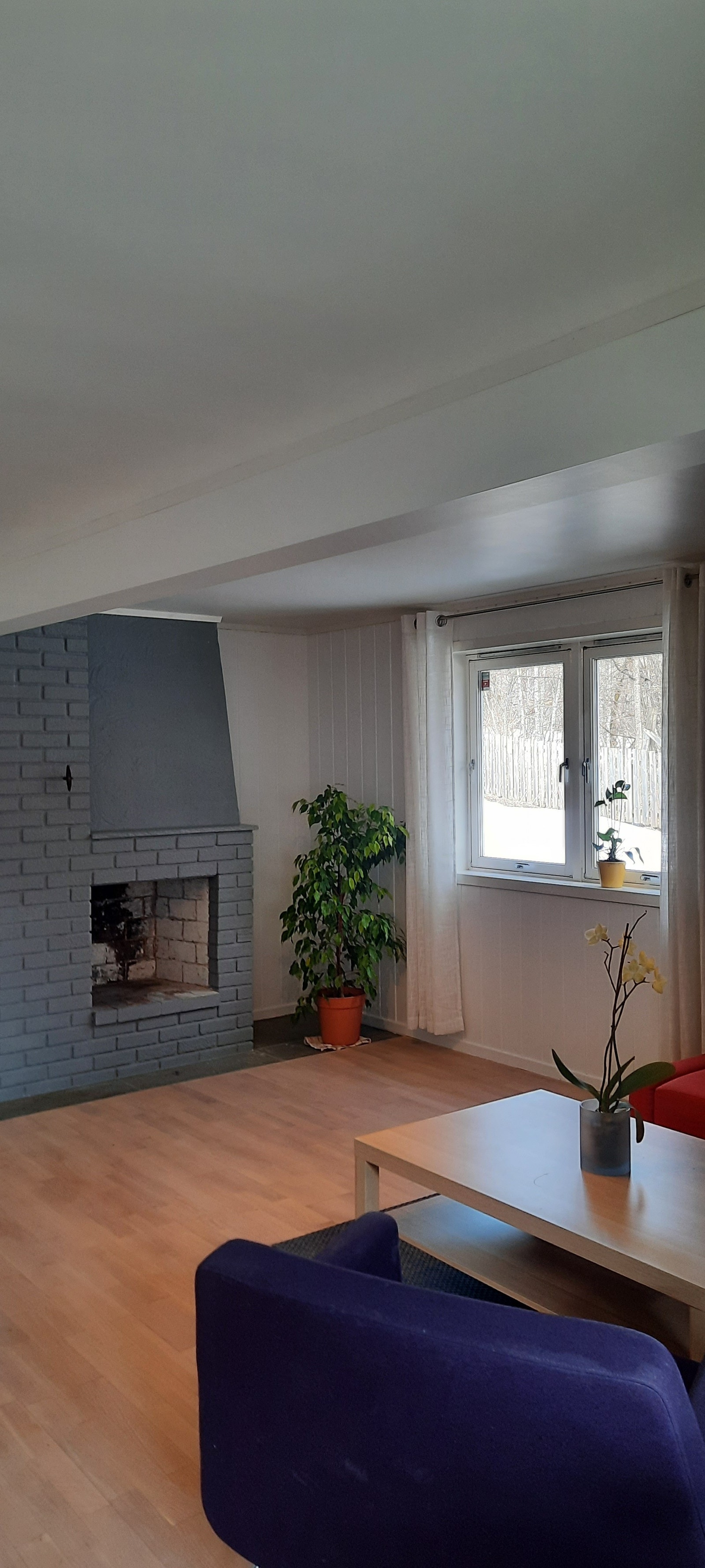 Stue med vindu rett ut mot skogen og peis Galleribilde