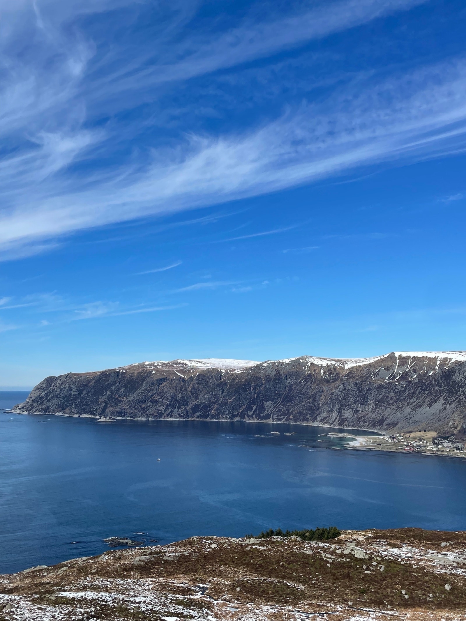 Holehornet Galleribilde