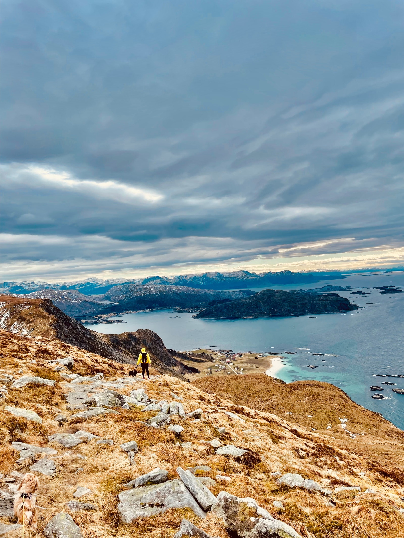 Ned fra Veten Galleribilde
