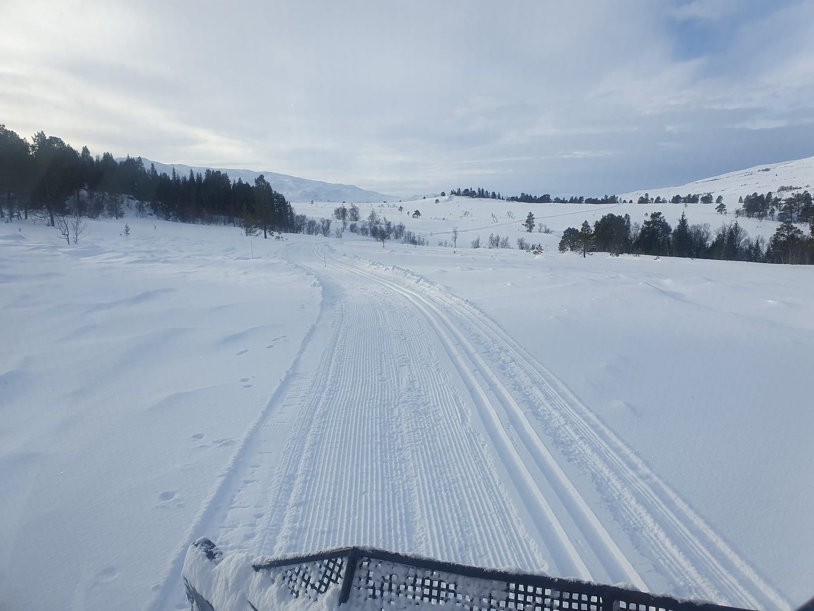 Oppkjørte skiløyper i fjellheimen rett over Storås. Jøngfjellet. Galleribilde