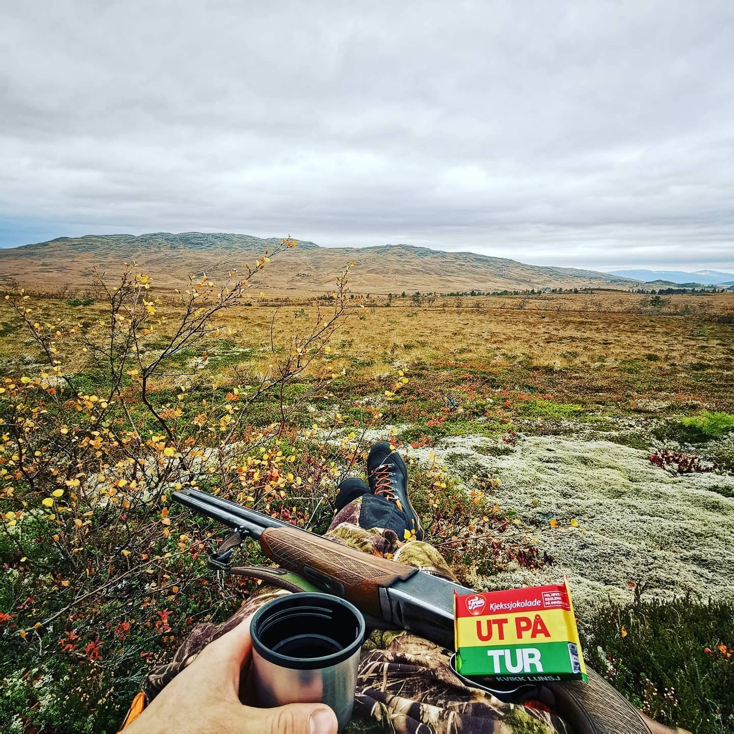 fantastiske tur og jakt muligheter rett i nærheten. Jøngfjellet. Galleribilde