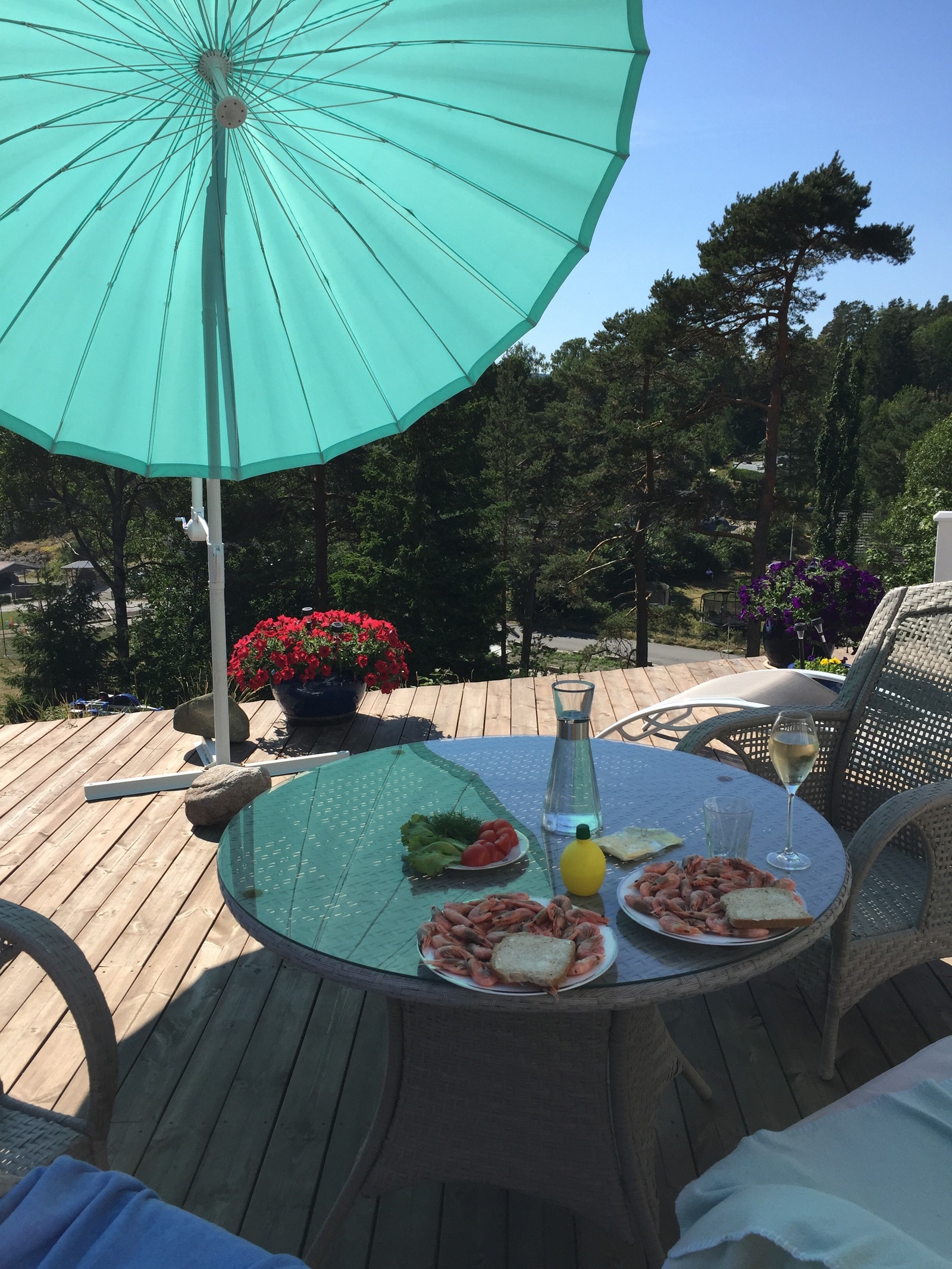 Det smaker godt med reker på uteplassen om sommeren Galleribilde