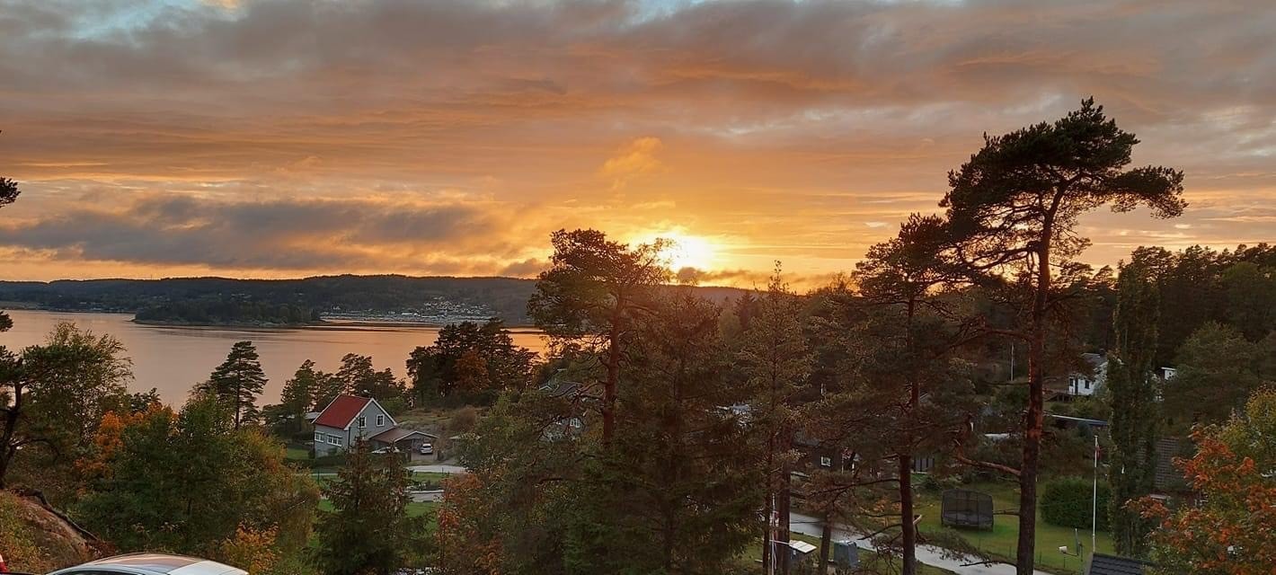 Flott utsikt mot sjøen Galleribilde