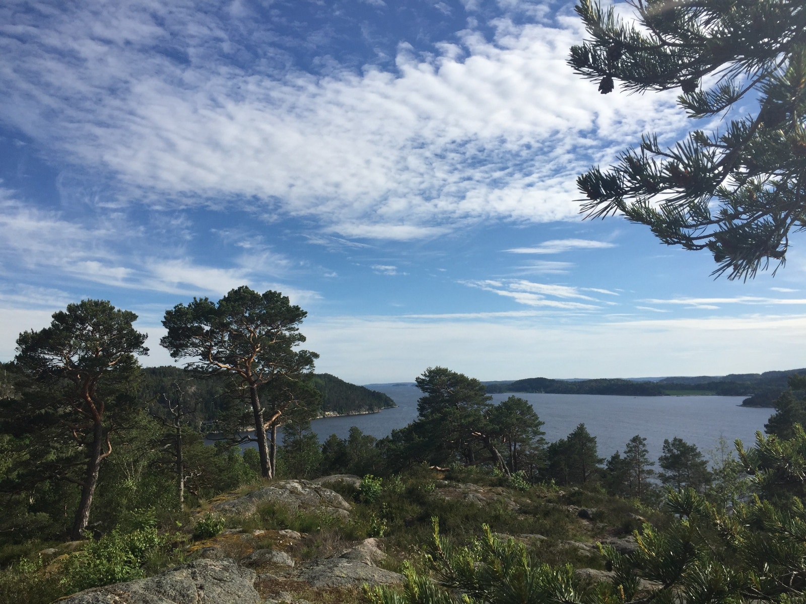 Utsikt over Skjebergkilen fra Utsikten Galleribilde