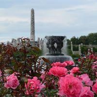 Frognerparken i nærheten Galleribilde