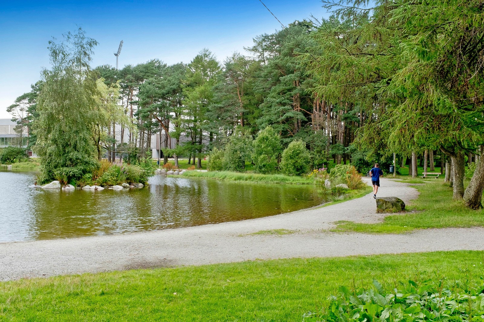 Nærområdet Galleribilde