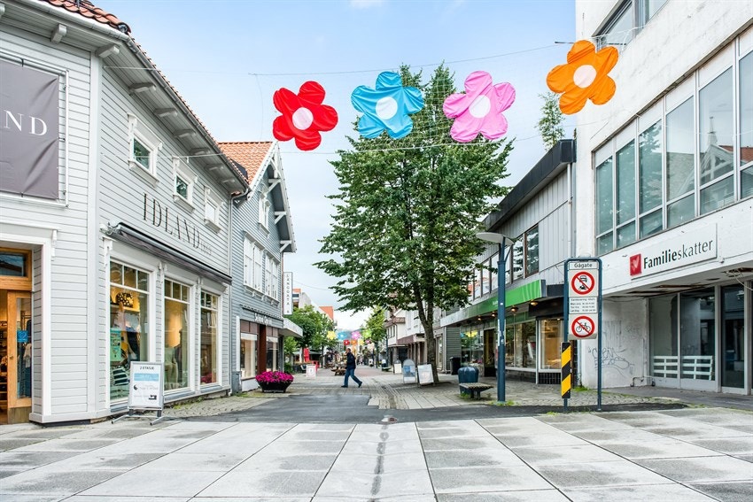 Nærområdet Galleribilde