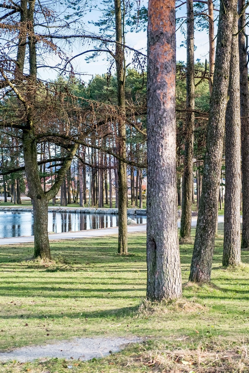 Nærområdet Galleribilde