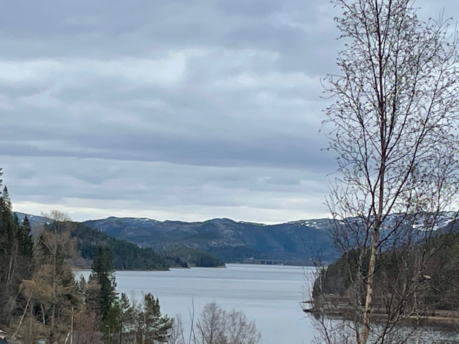 Utsiktsbilde fra tomten i en retning. Galleribilde