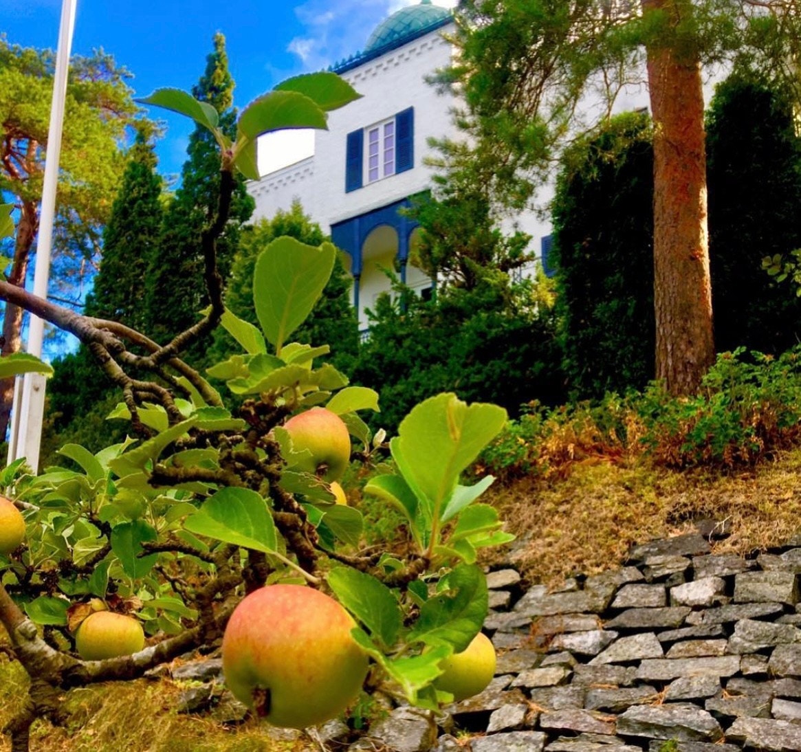 Villa Fremauri Galleribilde