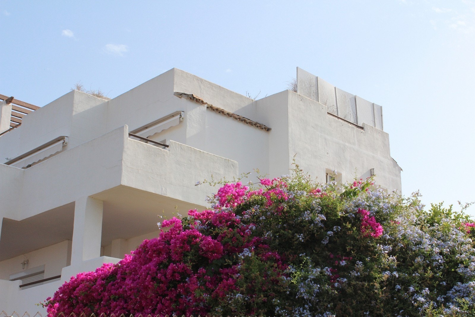 Uteområdet/hagen Galleribilde