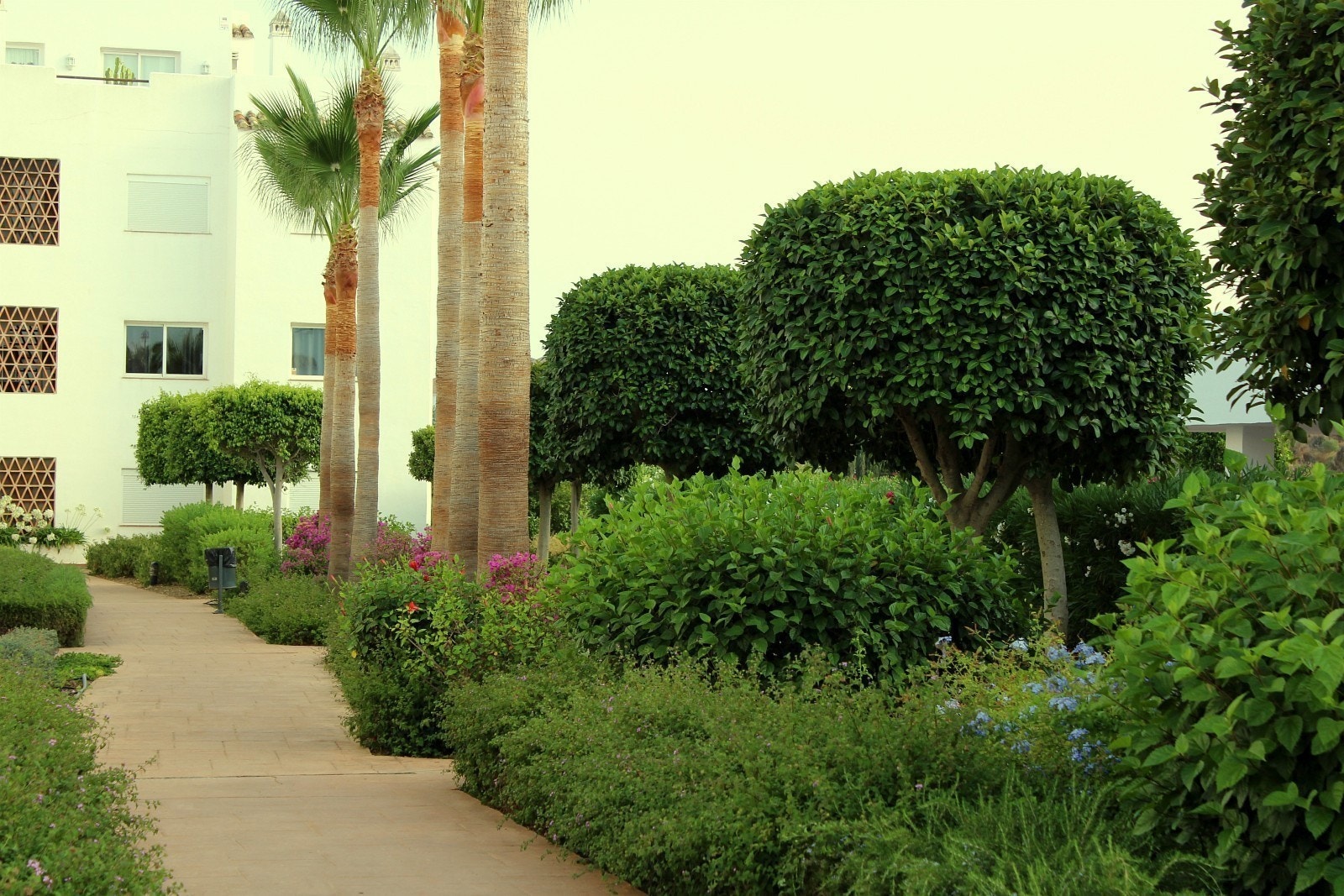 Uteområdet/hagen Galleribilde