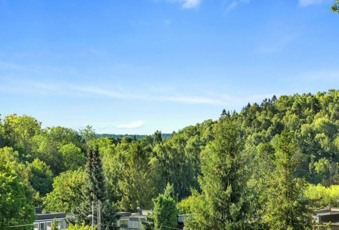 Nærområde Galleribilde