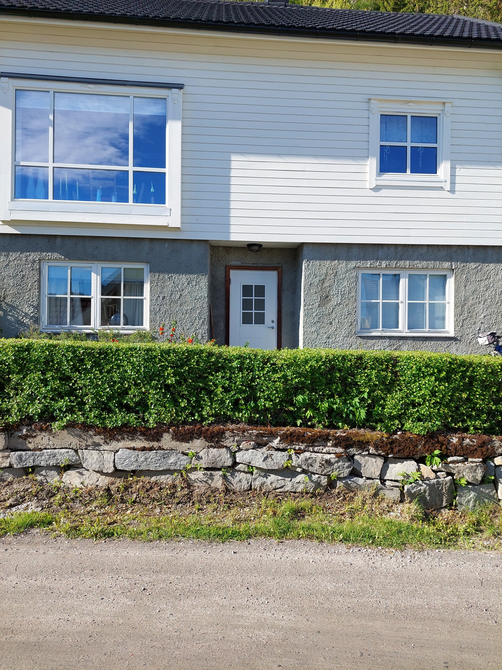 De to hyblene. Galleribilde