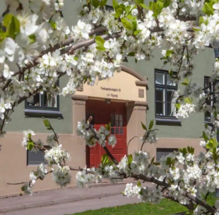 Ute Galleribilde
