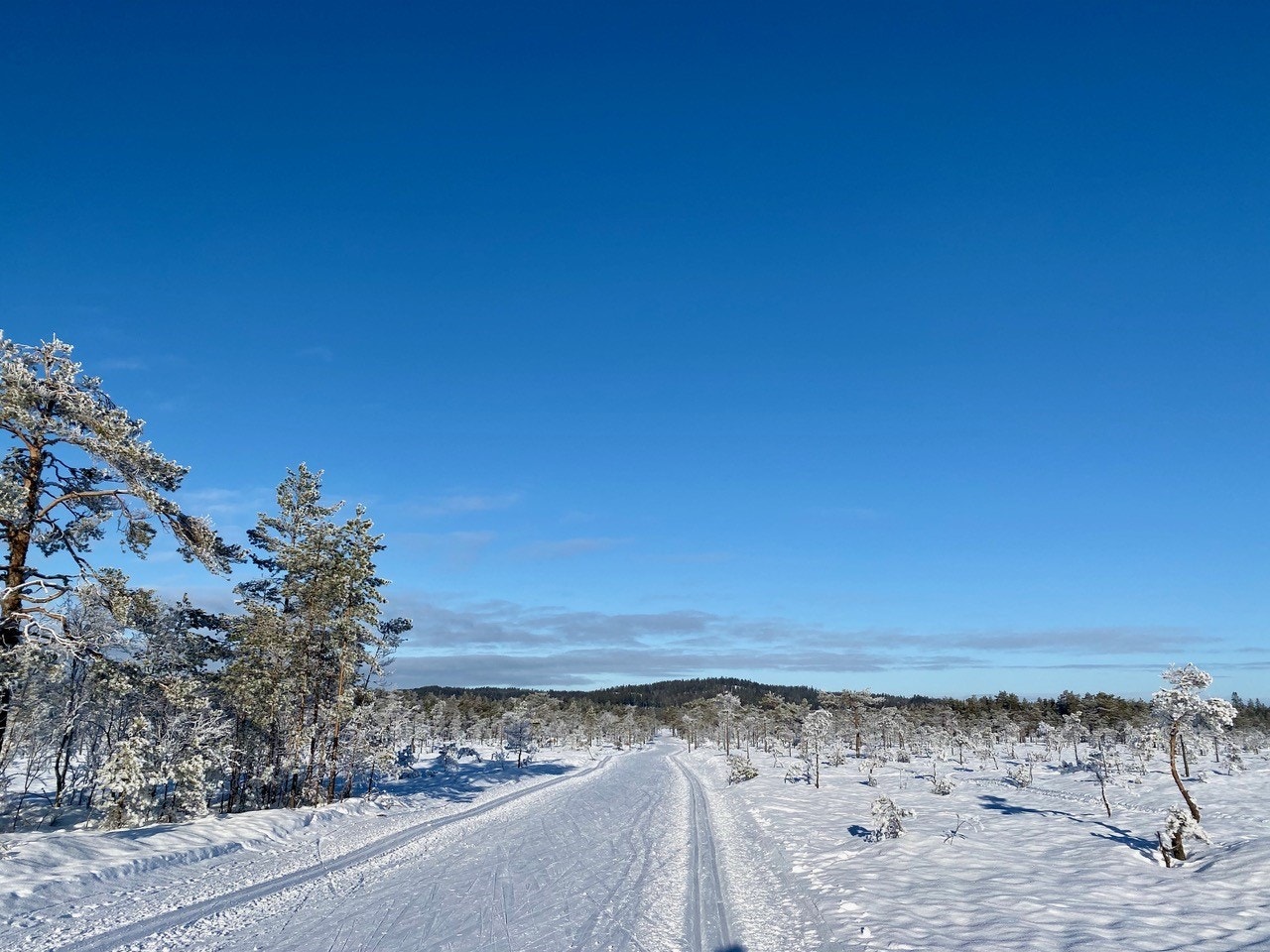 Flott turmuligheter i Romeriksåsen, sommer som vinter. Galleribilde