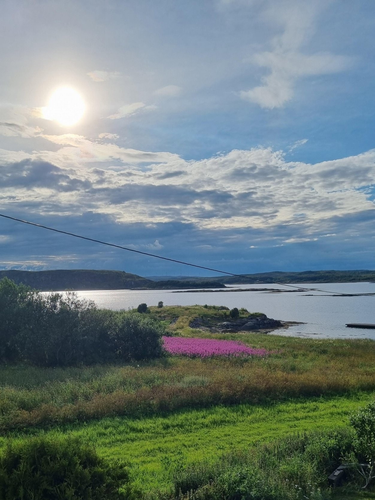 Vestvendt nær sjøen Galleribilde