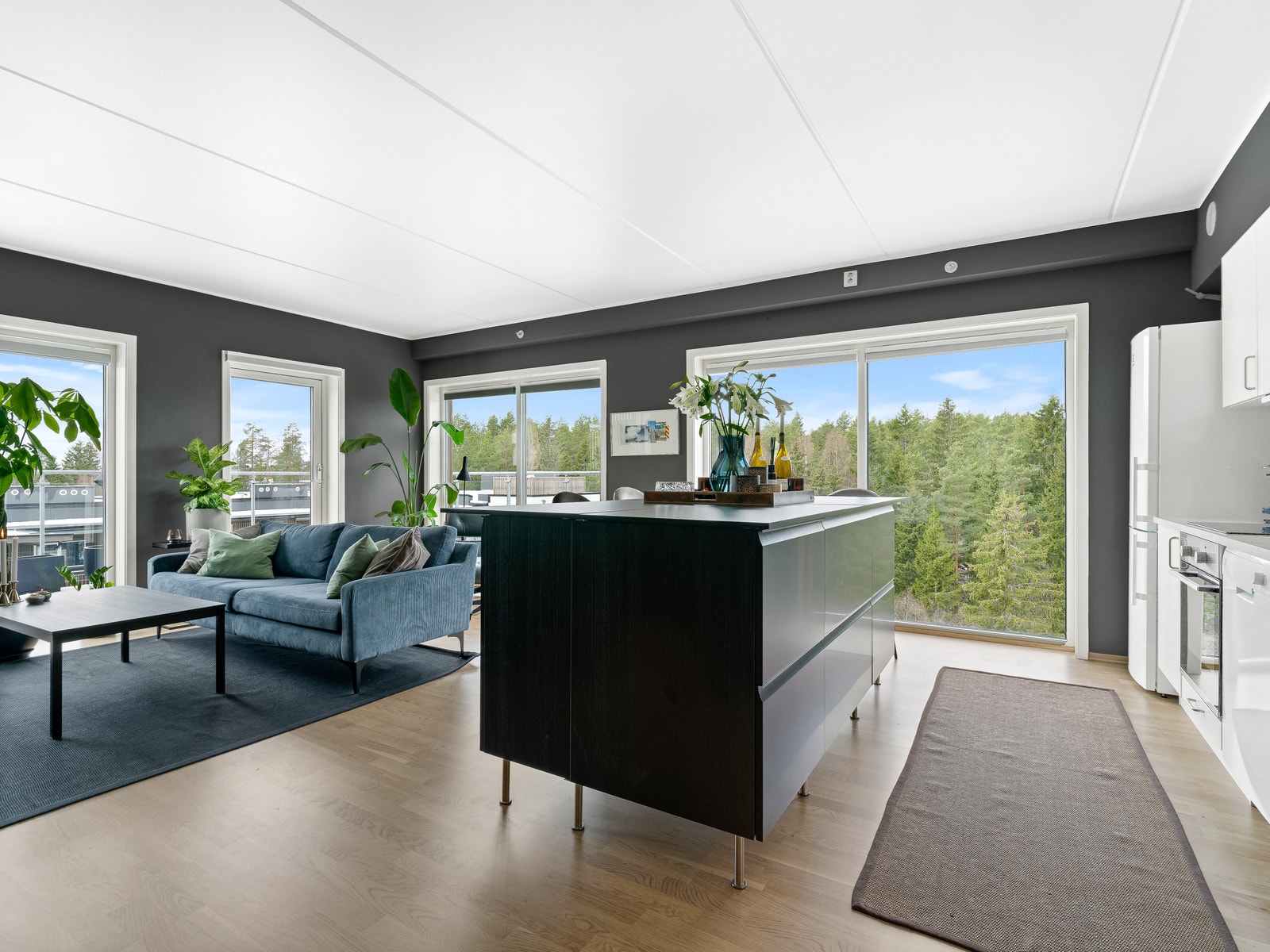 Skogen er nærmeste nabo. Galleribilde