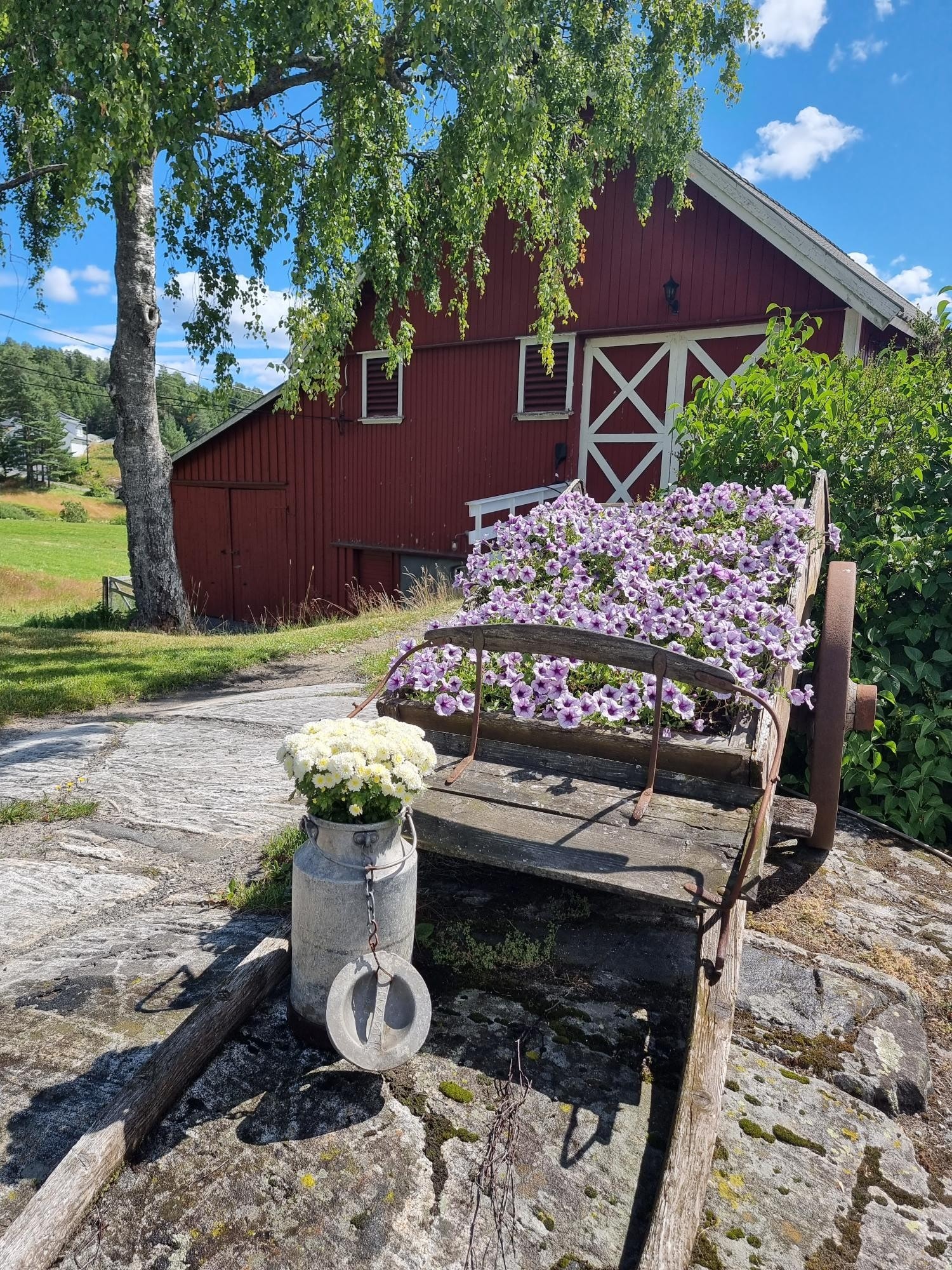Idyllisk om sommeren Galleribilde