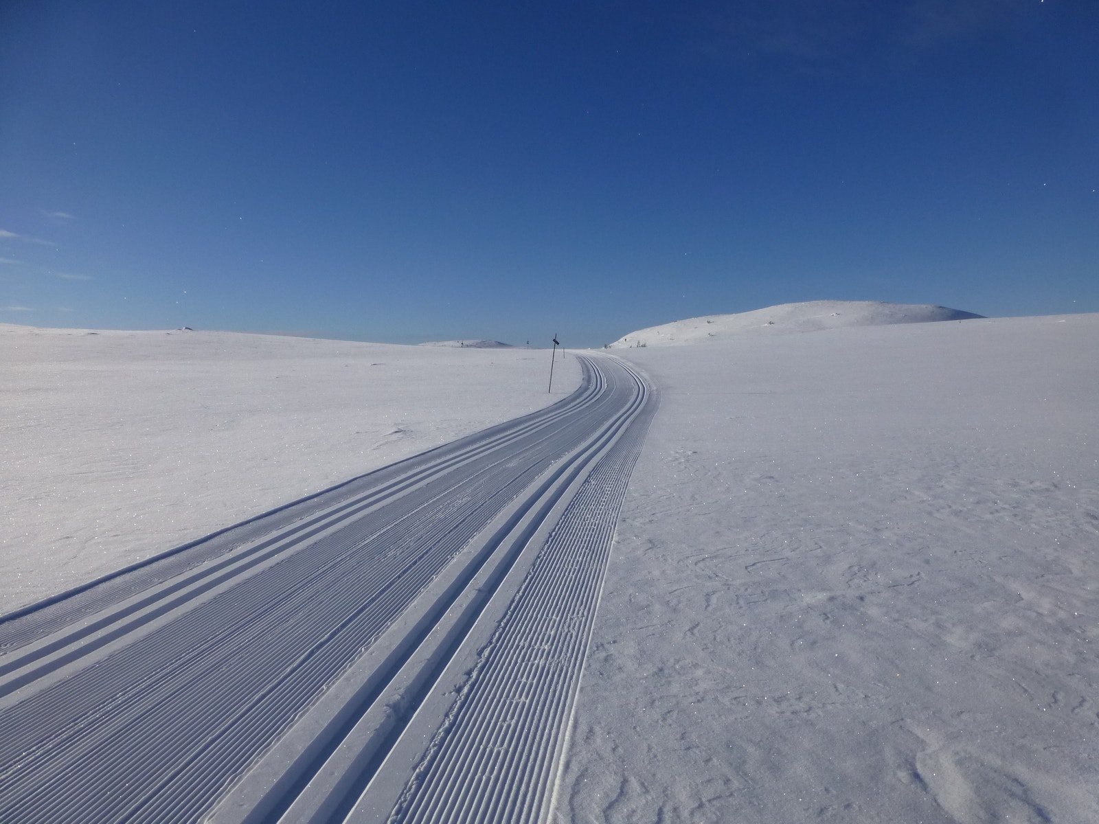 Nesfjellet - Et fantastisk langrenns eldorado Galleribilde