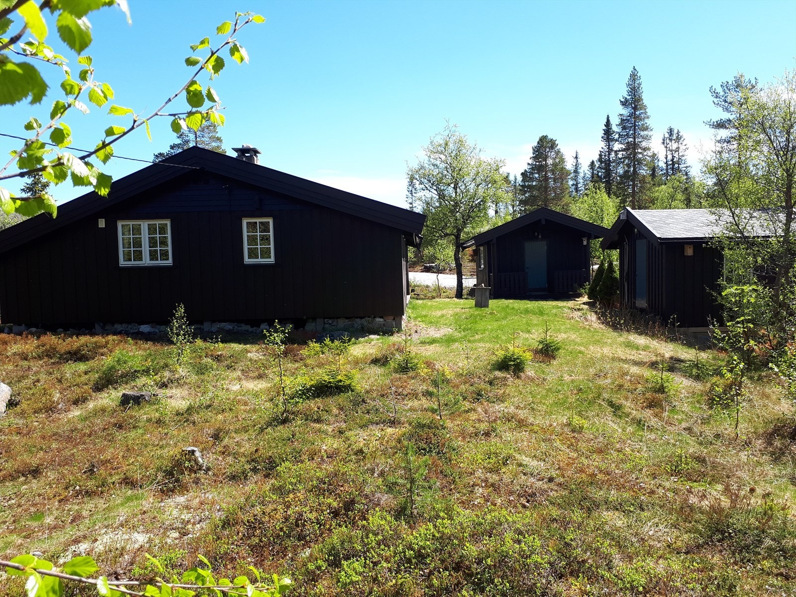 Hyttetun med hytte, utebod og anneks Galleribilde