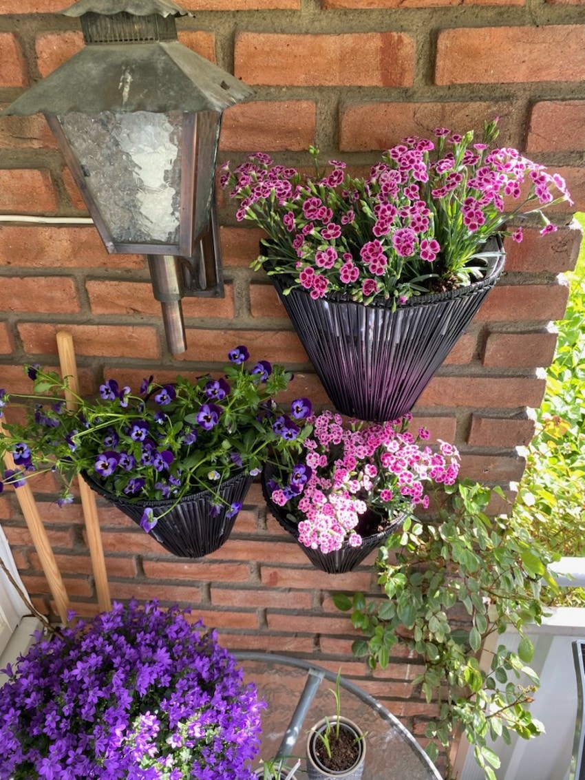 Selgers private sommerbilde. Galleribilde