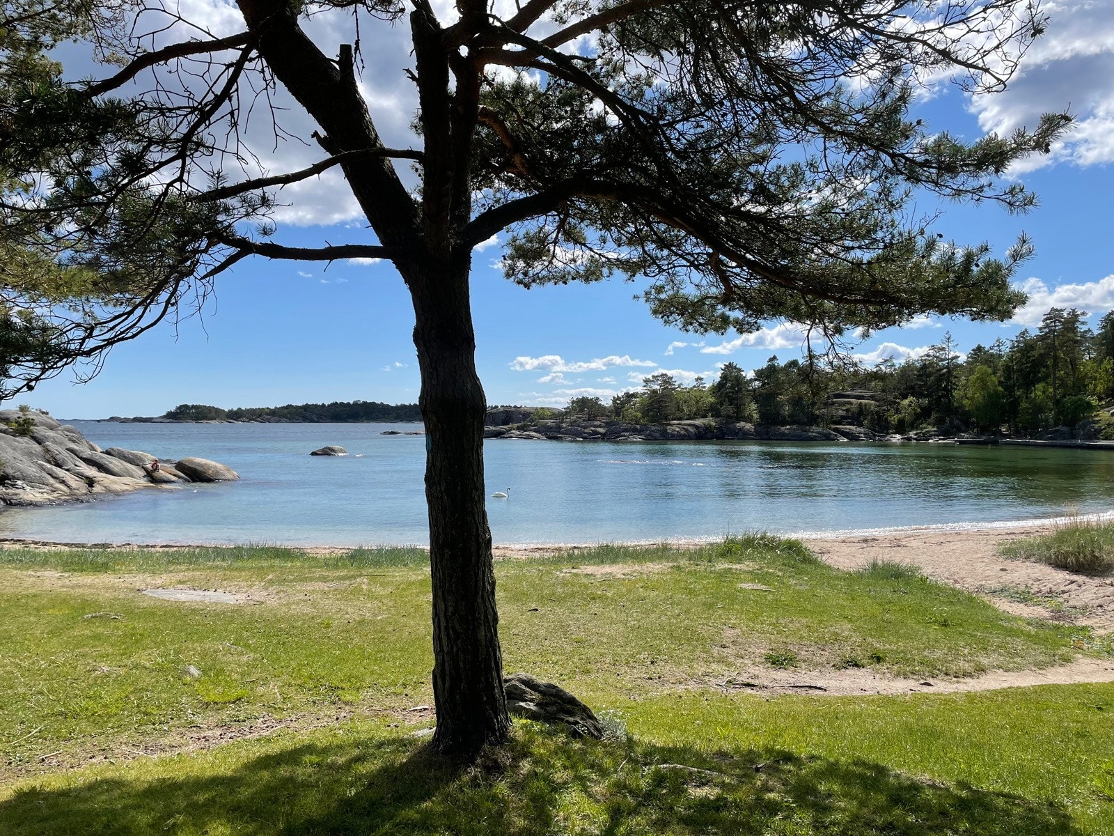 Fra Ivarsand Galleribilde