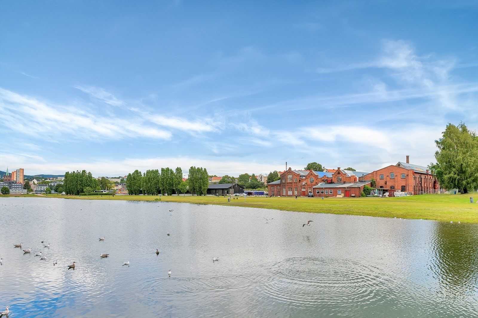 Områdebilde Galleribilde