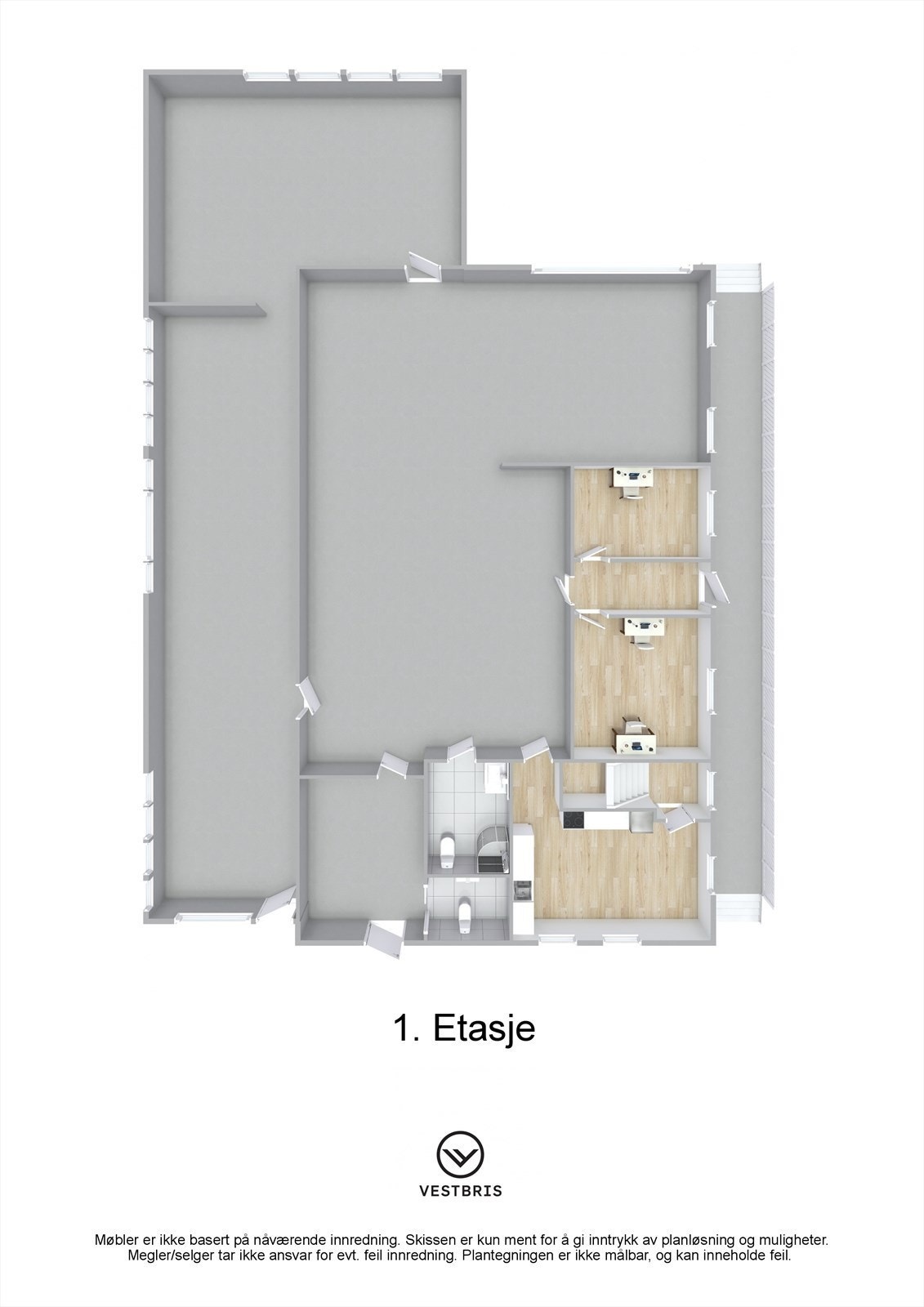 Planskisse - 1. Etasje - 3D Galleribilde