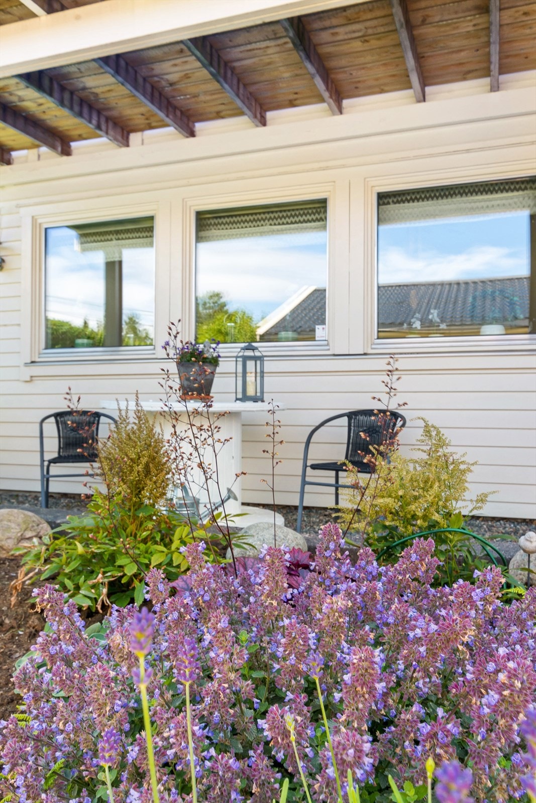 Nydelige blomster i hagen på sommeren. Galleribilde