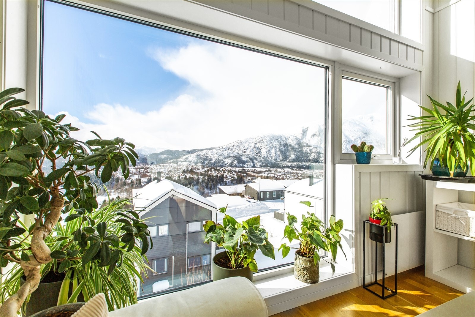 Nyt flott utsikt fra sofakroken Galleribilde