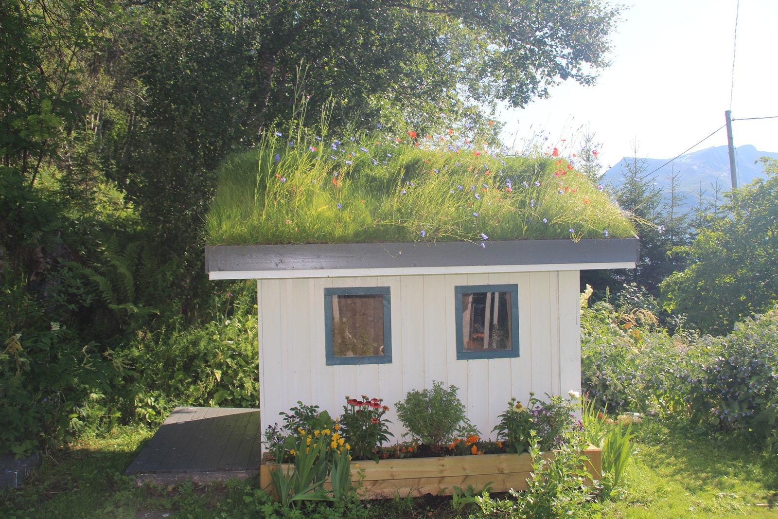 Selgers egne bilder Galleribilde