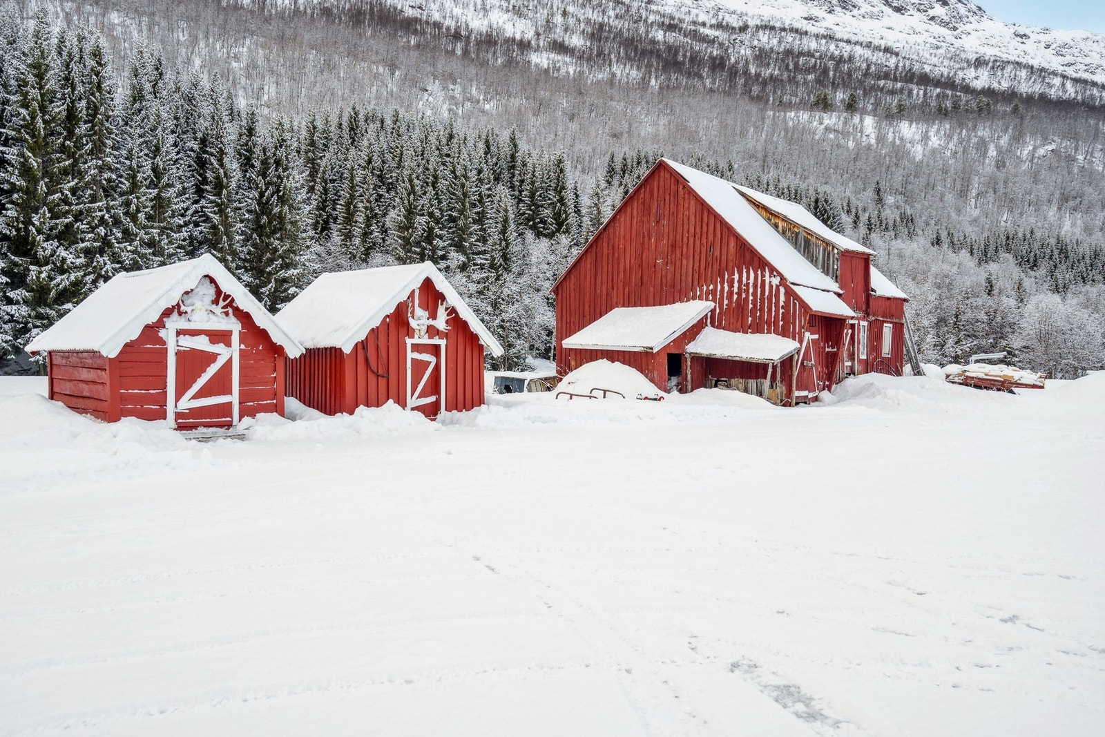 Gammel fjøs BTA 92 kvm. Lagerplass. Galleribilde